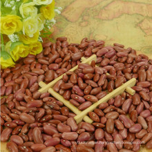 Shanxi Origin Small red kidney beans 2017